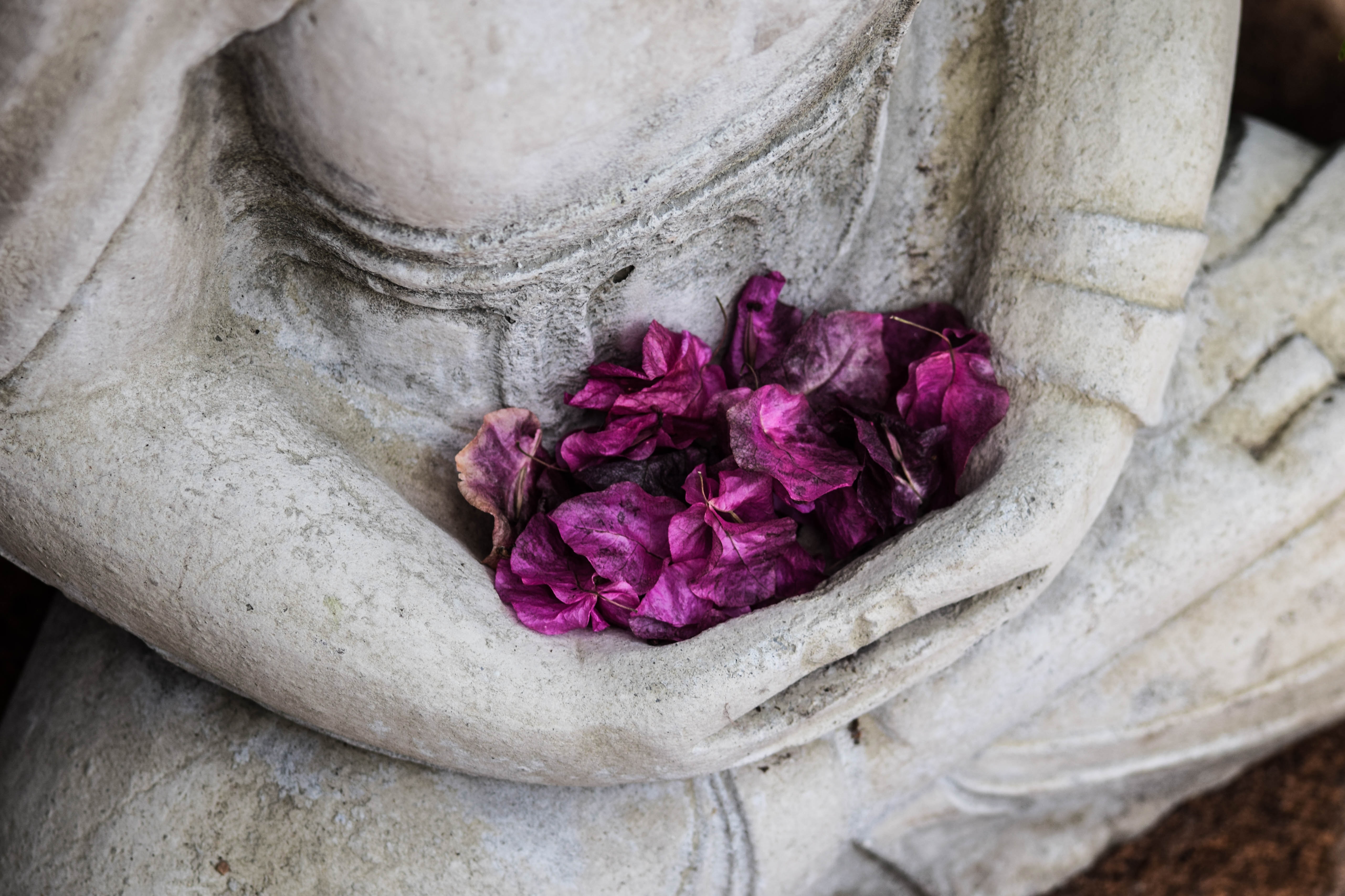 Offerings